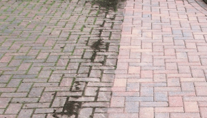 11001814_778295605596023_5795325981223580482_n